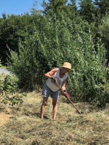 Schäferin Lizzi und das erste Heign